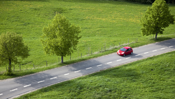 лісова дорога