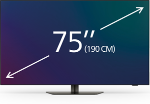 Телевізори 75-77 дюймів