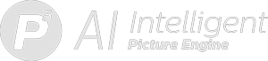 Логотип Picture Engine