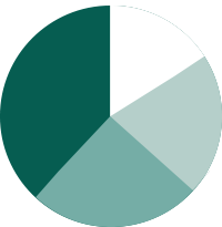 Pie Image