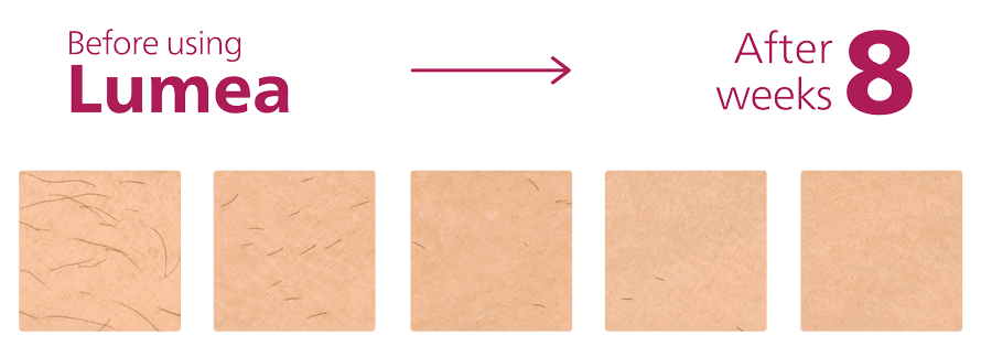 lumea progress